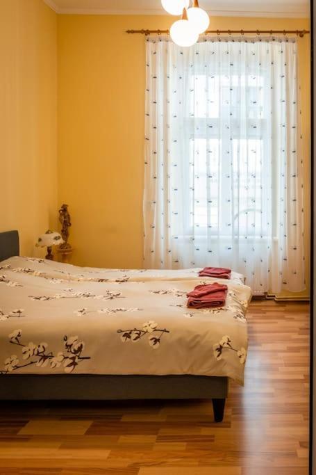 Apartament Casa Max Timișoara Zewnętrze zdjęcie