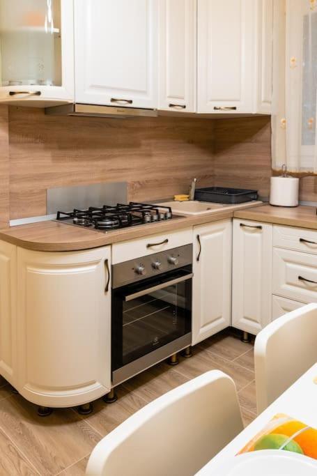 Apartament Casa Max Timișoara Zewnętrze zdjęcie