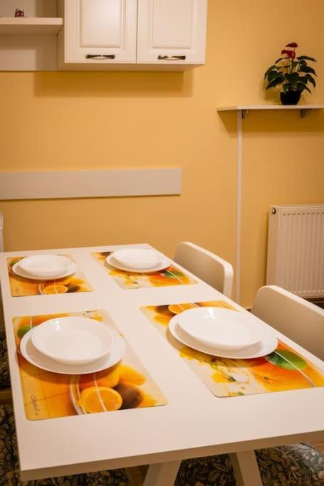 Apartament Casa Max Timișoara Zewnętrze zdjęcie