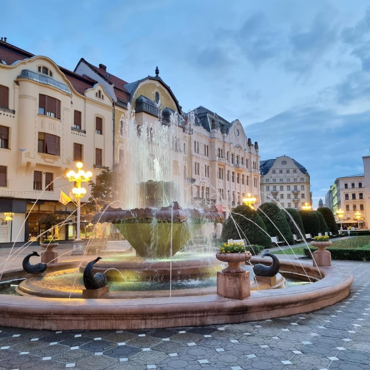 Apartament Casa Max Timișoara Zewnętrze zdjęcie