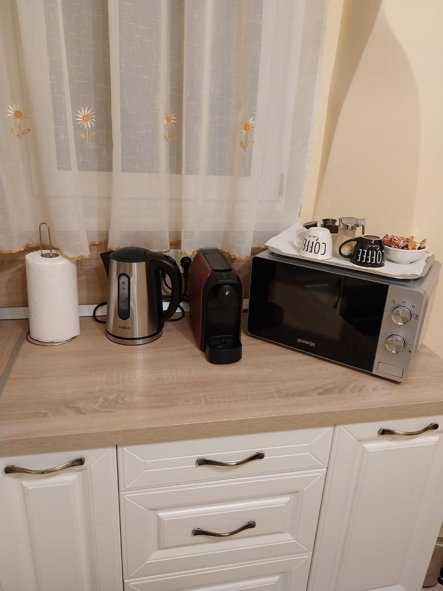 Apartament Casa Max Timișoara Zewnętrze zdjęcie