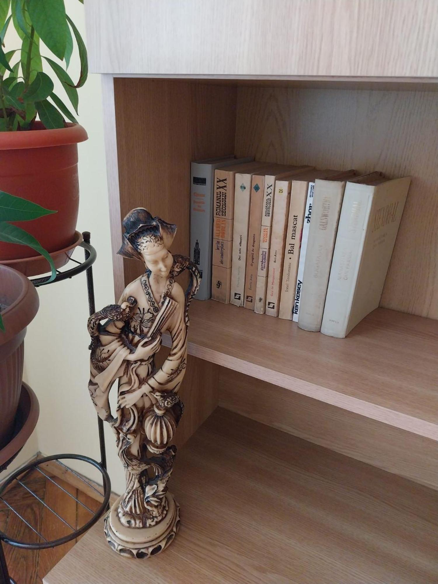 Apartament Casa Max Timișoara Zewnętrze zdjęcie